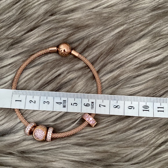 NWOT Pandora Moments Mesh Bracelet in Rose Gold with Charms and Cleaning Kit - Picture 7 of 11